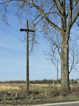 Wysoki przydrożny krzyż drewniany stojący na skrzyżowaniu przy wjeździe do wsi. Pacew, gmina Promna, powiat białobrzeski.