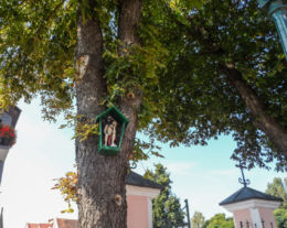 Kapliczka na drzewie, Chrystus Frasobliwy. Chodzież, powiat chodzieski.