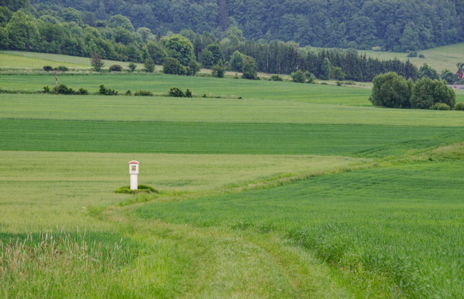 Kapliczka polna. Przedwojów, gmina Kamienna Góra. powiat kamiennogórski.