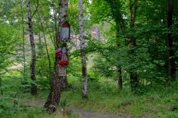 Przydrożna kapliczka na drzewie. Przełęcz Łaszczowa. powiat kłodzki.