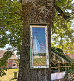 Kapliczka na drzewie z figurą Matki Bożej. Nowy Folwark, gmina Cieszków, powiat milicki, woj. dolnośląskie.