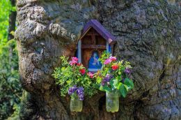 Kapliczka skrzynkowa na pomnikowym platanie w Parku Słowackiego. Wrocław. Powiat wrocław, woj. dolnośląskie.