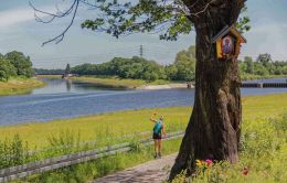 Kapliczka skrzynkowa przy Mostach Warszawskich na ul. Pasterskiej. Wrocław, Kleczków. Powiat wrocław, woj. dolnośląskie.