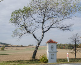 Przydrożna kapliczka stojąca przy drodze do Braszowic. Bardo, powiat ząbkowicki.