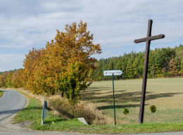 Krzyż przydrożny drewniany. Brzeźnica, gmina Bardo, powiat ząbkowicki.