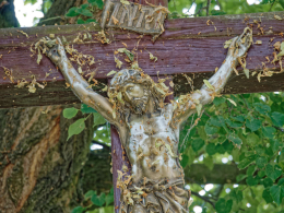 Figura Jezusa na drewnianym krzyżu. Brzeg, gmina Pęczniew, powiat poddębicki, woj. Łódzkie.