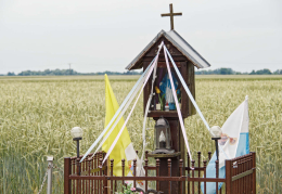 Kapliczka drewniana Brzeg-Pruśno. Brzeg, gmina Pęczniew, powiat poddębicki, woj. Łódzkie.