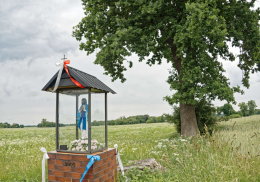 Kapliczka oszklona z figurą Matki Bożej. Drużbin, gmina Pęczniew, powiat poddębicki, woj. Łódzkie.