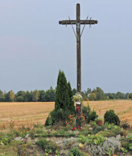 Krzyż przydrożny drewniany przy drodze nr 737. Antoniówka, gmina Jedlnia-Letnisko, powiat radomski.