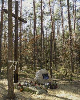 Krzyże i głaz pamiątkowy w miejscu dawnego cmentarza cholerycznego. Januszno, gmina Pionki, powiat radomski.