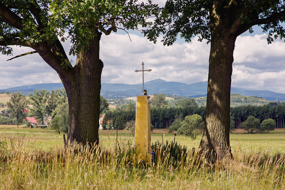 Krzyż przydrożny stojący na skraju dawnego cmentarza cholerycznego. Czadrów, gmina Kamienna Góra, powiat kamiennogorski.