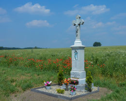 Krzyż przydrożny - fundator Franz Moczygemba 1877 r. Płużnica Wielka, gmina Strzelce Opolskie, powiat strzelecki.