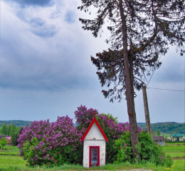 Kapliczka przydrożna, murowana. Bachórzec, gmina Dubiecko. powiat przemyski.