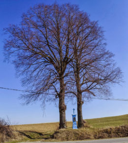 Przydrożna kapliczka z 1910 r. przy drodze "Na Piekielską". Fundator Jan Wielgos. Futoma, gmina Błażowa, powiat rzeszowski.
