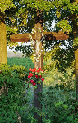 Krzyż przydrożny drewniany. Kąkolówka, gmina Błażowa, powiat rzeszowski.