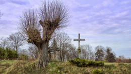 Przydrożny krzyż przy Trakcie Łańcuckim. Piątkowa, gmina Błażowa, powiat rzeszowski.