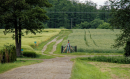 Przydrożny krzyż kamienny. Broniszewo, gmina Tykocin. powiat białostocki.