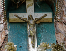 Fragment przydrożnej kapliczki na drzewie. Konne, gmina Supraśl. powiat białostocki.