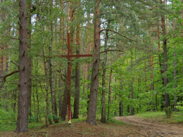 Przydrożny krzyż drewniany. Krzemienne, gmina Supraśl. powiat białostocki.