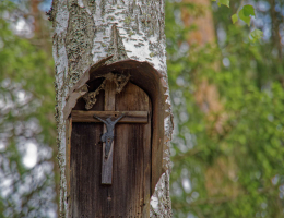 Fragment przydrożnej kapliczki na drzewie. Pałatki, gmina Gródek. powiat białostocki.