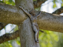 Fragment krzyża przydrożnego. Pieczonka, gmina Supraśl. powiat białostocki.