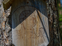 Fragment przydrożnej kapliczki na drzewie. Pieczonka, gmina Supraśl. powiat białostocki.