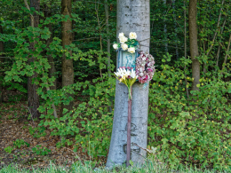 Przydrożna kapliczka na drzewie. Gajówka Bieżeń, gmina Wręczyca Wielka, powiat kłobucki, woj. Śląskie.