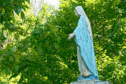 Figura Matki Bożej na kolumnie stojąca w ogrodzie Gminnego Ośrodka Pomocy Społecznej. Kłobuck, powiat kłobucki, woj. Śląskie.