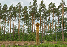 Kapliczka przydrożna z figurą Chrystusa Frasobliwego stojąca przy drodze do Kuźnicy.. Nowy Folwark, gmina Miedźno, powiat kłobucki, woj. Śląskie.