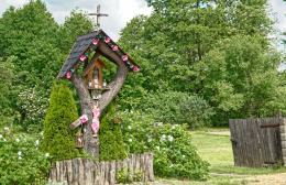 Przydrożna kapliczka na starym drzewie, ul. Częstochowska. Ostrowy nad Okszą, gmina Miedźno, powiat kłobucki, woj. Śląskie.