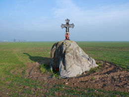 Głaz narzutowy z żeliwnym krzyżem. Aleksandrowo, gmina Gostyń, powiat gostyński.