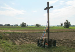 Krzyż przy drodze do Krzywinia. Świniec, gmina Krzywiń, powiat kościański.