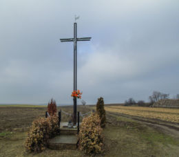 Krzyż przy drodze do Piotrowa Drugiego. Zadory, gmina Czempiń, powiat kościański.
