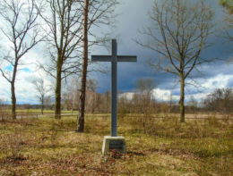 Krzyż na dawnym cmentarzu ewangelickim. Boruja Nowa, gmina Nowy Tomyśl, powiat nowotomyski.