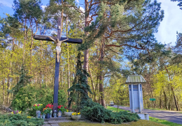 Przydrożny krzyż drewniany. Mosina. Powiat poznański, woj. wielkopolskie.