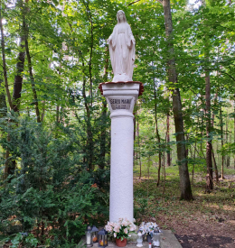 Figura Matki Bożej na kolumnie. Puszczykowo. powiat poznański.