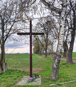 Krzyż drewniany. Piotrowo, gmina Brodnica. Powiat Śremski, woj. wielkopolskie.