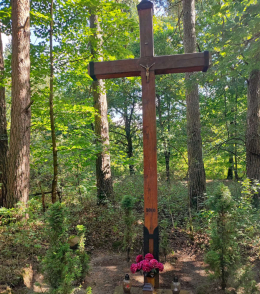 Przydrożny krzyż drewniany, 2010 r. Fundatorzy: Jolanta i Henryk Zimowski. Tworzykowo, gmina Brodnica. powiat śremski.
