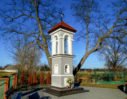 Kapliczka przydrożna z figurą Matki Boskiej. Tłoki, gmina Wolsztyn, powiat wolsztyński.