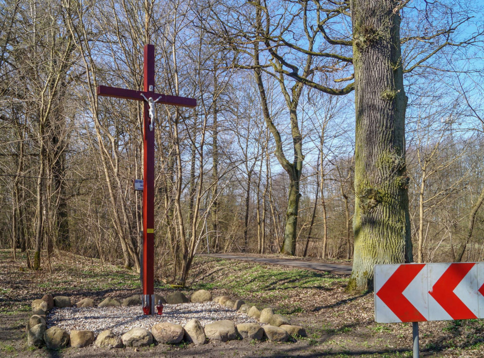 Drewniany krzyż przydrożny przy rozwidleniu dróg na Dębce wieś i Dębce Ośrodek Pomocy Społecznej. Dębce, gmina Gryfino.