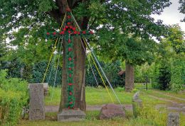 Metalowy krzyż przydrożny tuż przy drzewie. Stare Brynki, gmina Gryfino, powiat gryfiński.