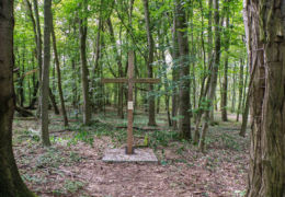 Krzyż na miejscu po cmentarzu ewangelickim XIX i XX w.Ufundowany przez gmine Police 2013 r. Siedlice, gmina Police, powiat policki.
