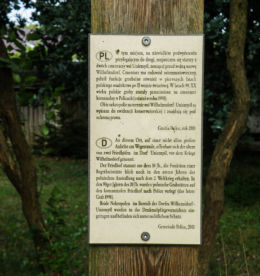 Krzyż na wzgórzu w miejscu starego cmentarza z XVIII w. Uniemyśl, gmina Police, powiat policki.
